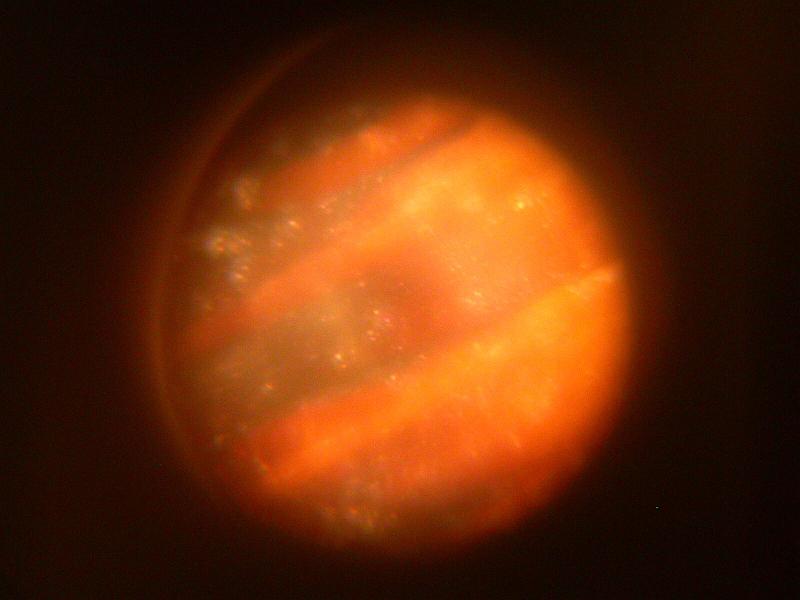 What strange Planet . . ..jpg